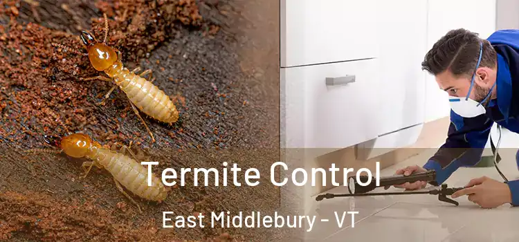  Termite Control East Middlebury - VT