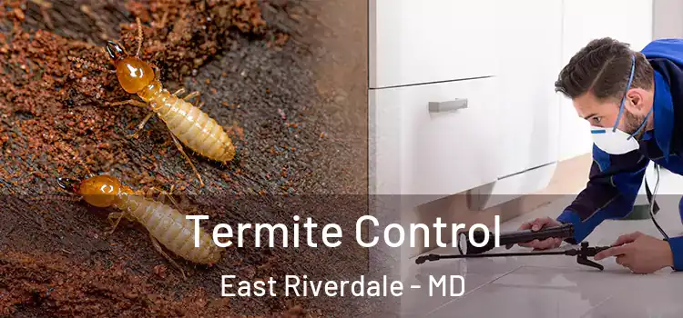 Termite Control East Riverdale - MD