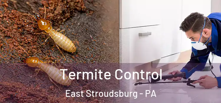  Termite Control East Stroudsburg - PA