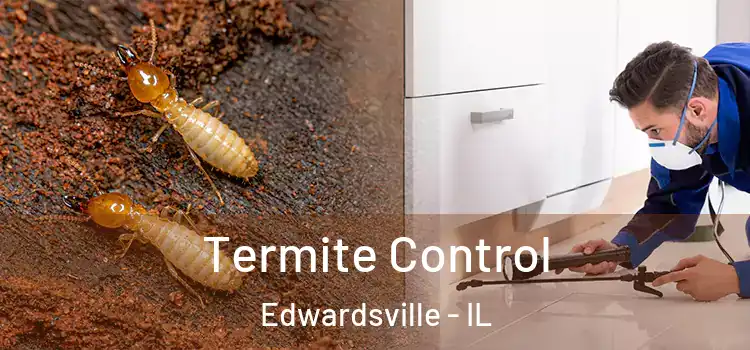 Termite Control Edwardsville - IL