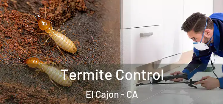 Termite Control El Cajon - CA