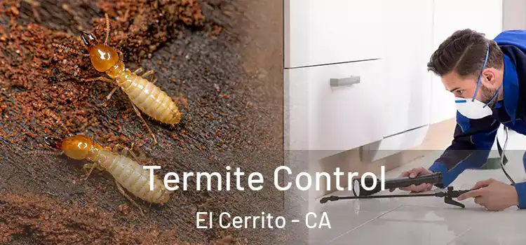 Termite Control El Cerrito - CA