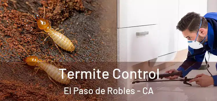  Termite Control El Paso de Robles - CA