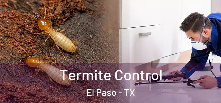  Termite Control El Paso - TX