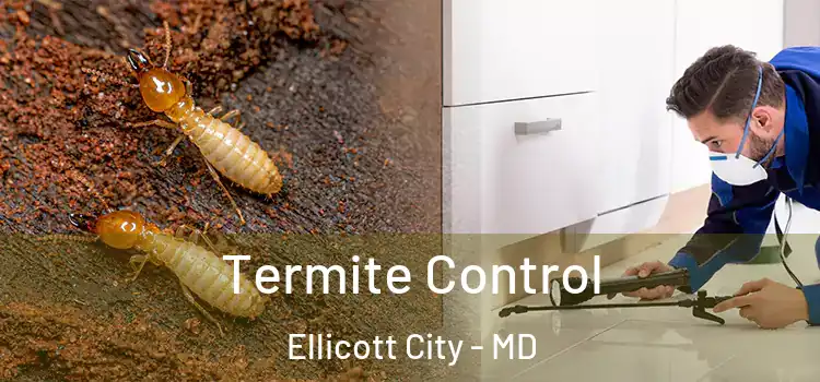  Termite Control Ellicott City - MD