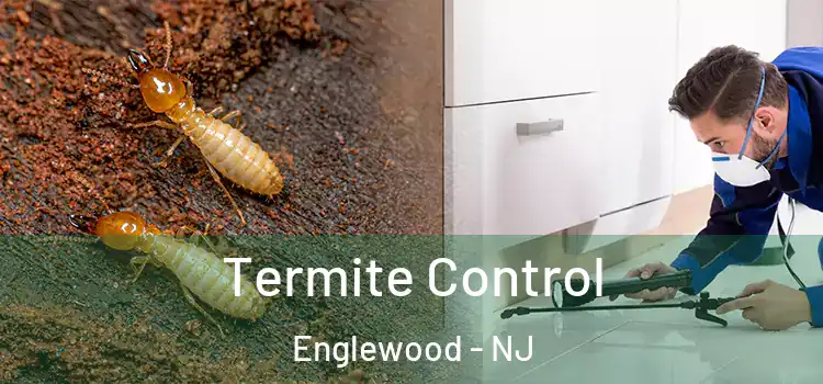  Termite Control Englewood - NJ