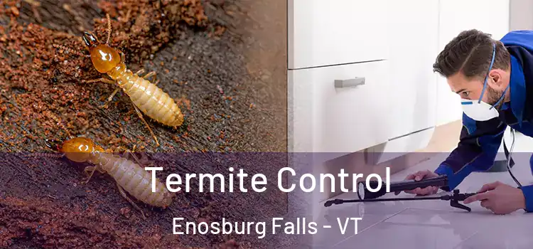  Termite Control Enosburg Falls - VT