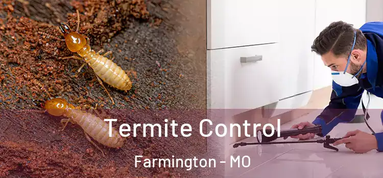  Termite Control Farmington - MO