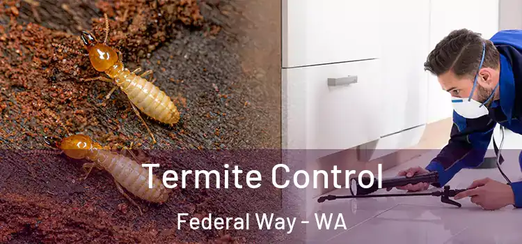  Termite Control Federal Way - WA