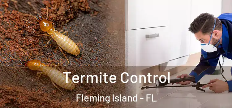 Termite Control Fleming Island - FL