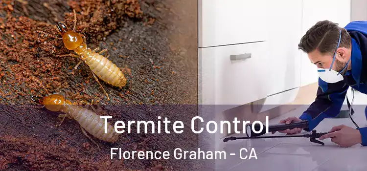  Termite Control Florence Graham - CA