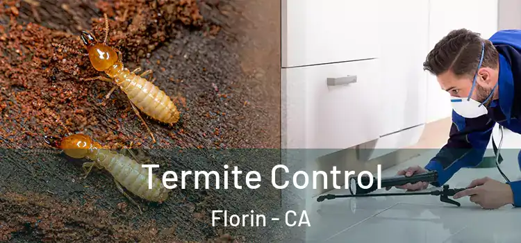 Termite Control Florin - CA