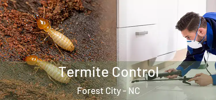  Termite Control Forest City - NC