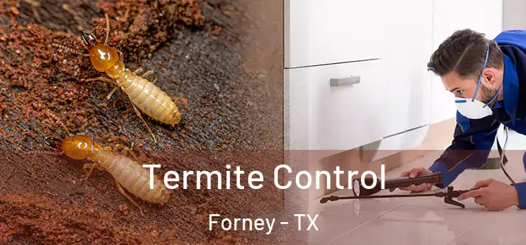 Termite Control Forney - TX