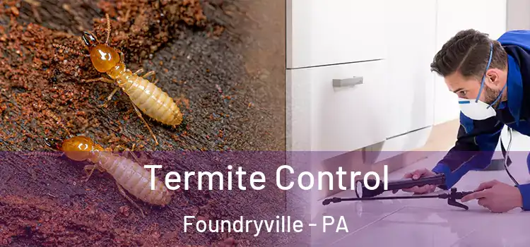  Termite Control Foundryville - PA