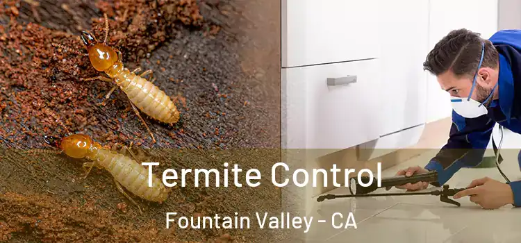 Termite Control Fountain Valley - CA