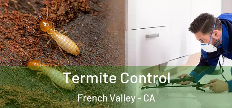  Termite Control French Valley - CA