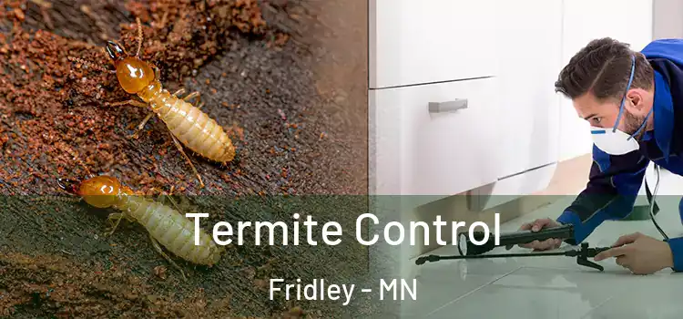 Termite Control Fridley - MN