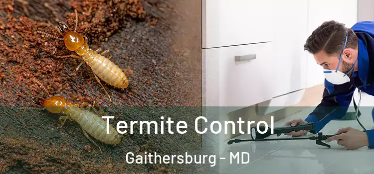  Termite Control Gaithersburg - MD
