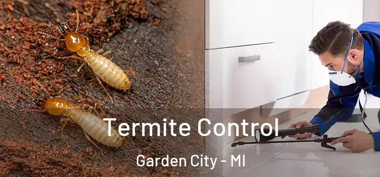 Termite Control Garden City - MI