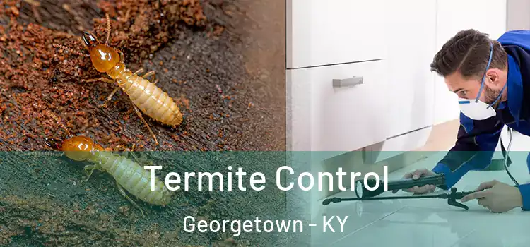 Termite Control Georgetown - KY
