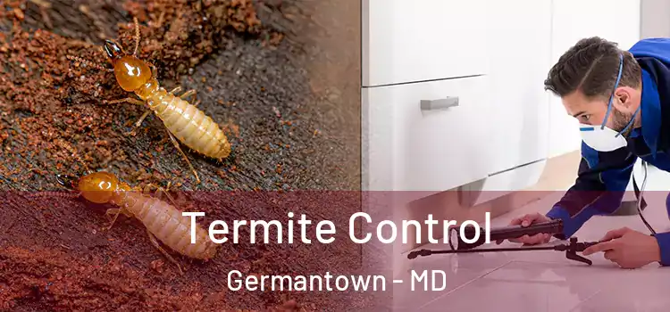 Termite Control Germantown - MD