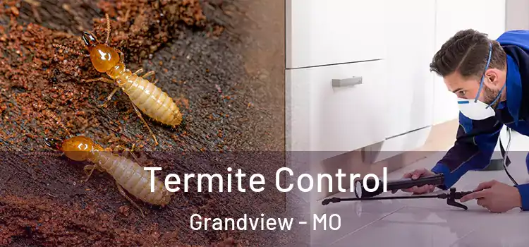  Termite Control Grandview - MO