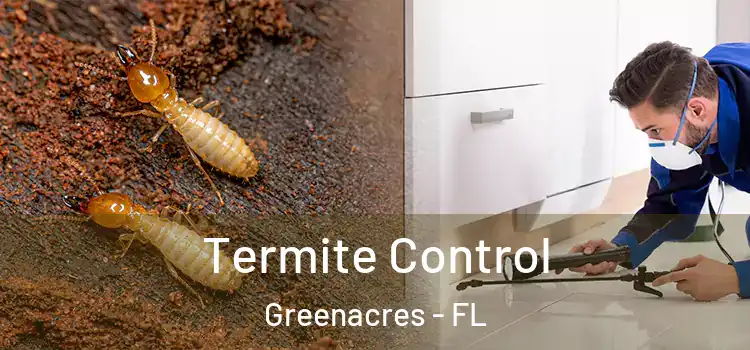  Termite Control Greenacres - FL