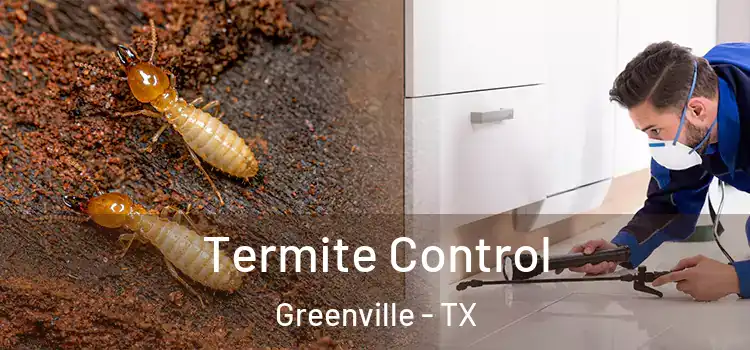  Termite Control Greenville - TX