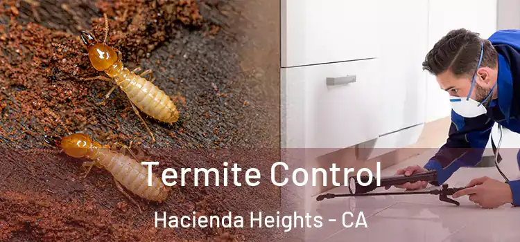 Termite Control Hacienda Heights - CA
