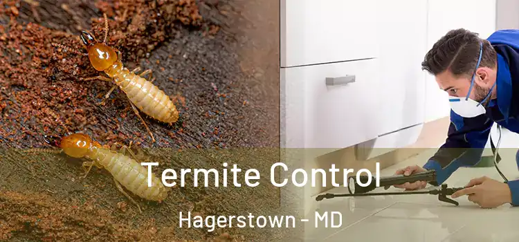  Termite Control Hagerstown - MD