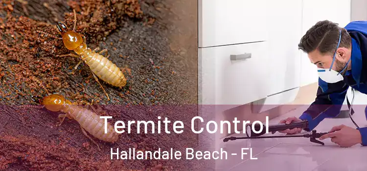  Termite Control Hallandale Beach - FL