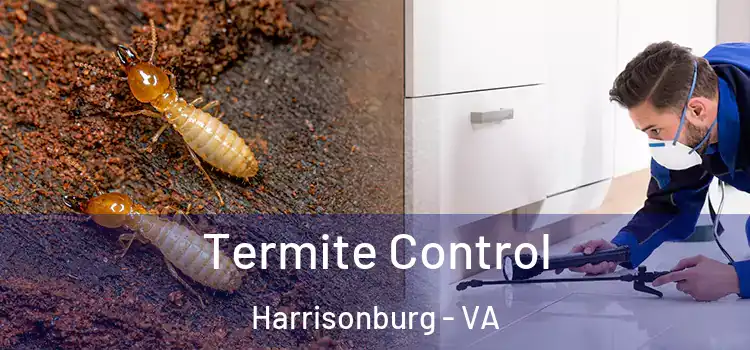 Termite Control Harrisonburg - VA