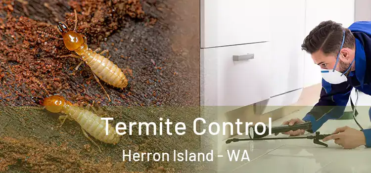  Termite Control Herron Island - WA