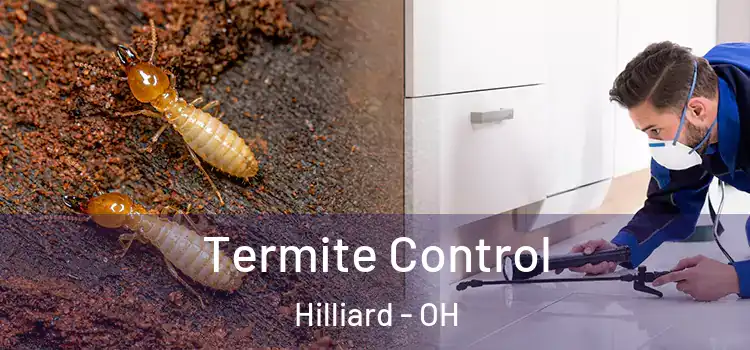 Termite Control Hilliard - OH