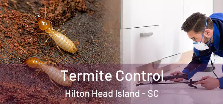  Termite Control Hilton Head Island - SC