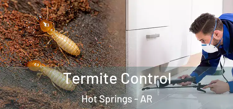  Termite Control Hot Springs - AR