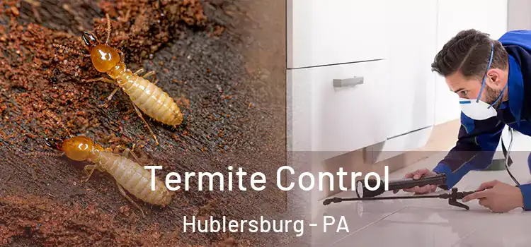  Termite Control Hublersburg - PA