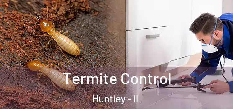  Termite Control Huntley - IL