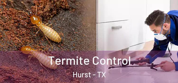 Termite Control Hurst - TX