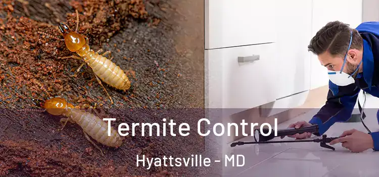 Termite Control Hyattsville - MD