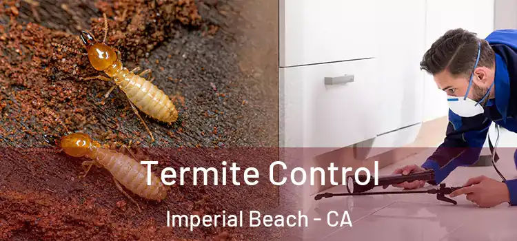  Termite Control Imperial Beach - CA