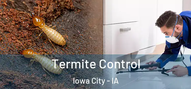 Termite Control Iowa City - IA