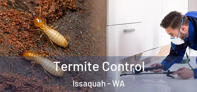  Termite Control Issaquah - WA