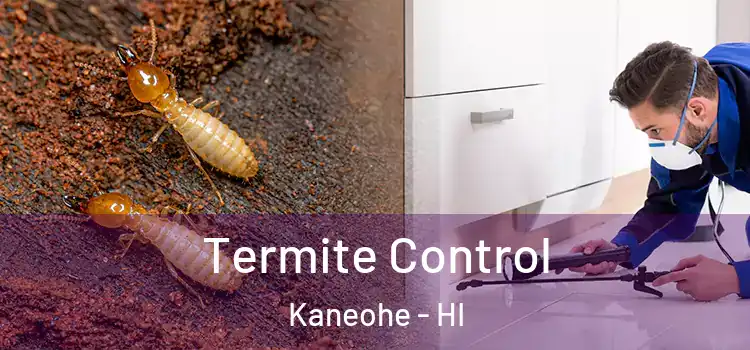 Termite Control Kaneohe - HI