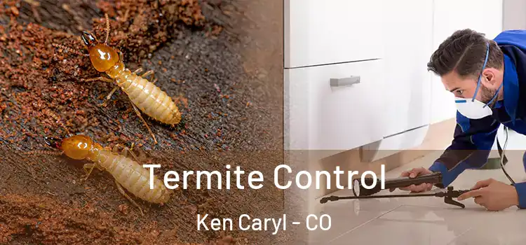  Termite Control Ken Caryl - CO