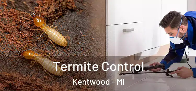 Termite Control Kentwood - MI