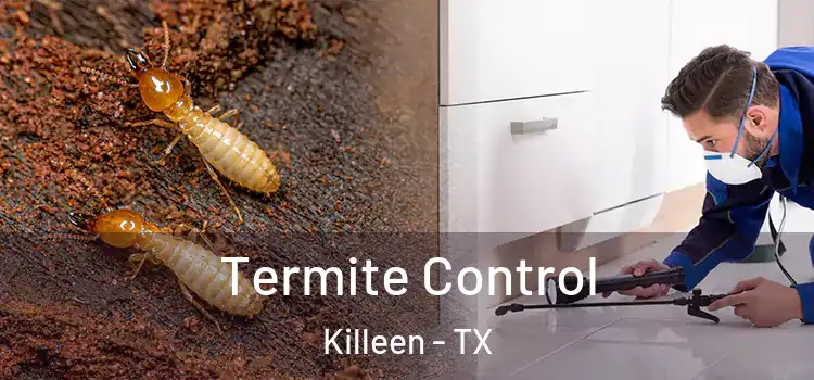  Termite Control Killeen - TX