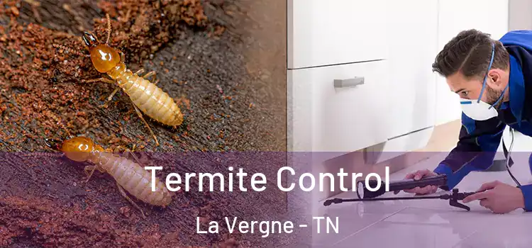  Termite Control La Vergne - TN