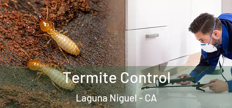  Termite Control Laguna Niguel - CA